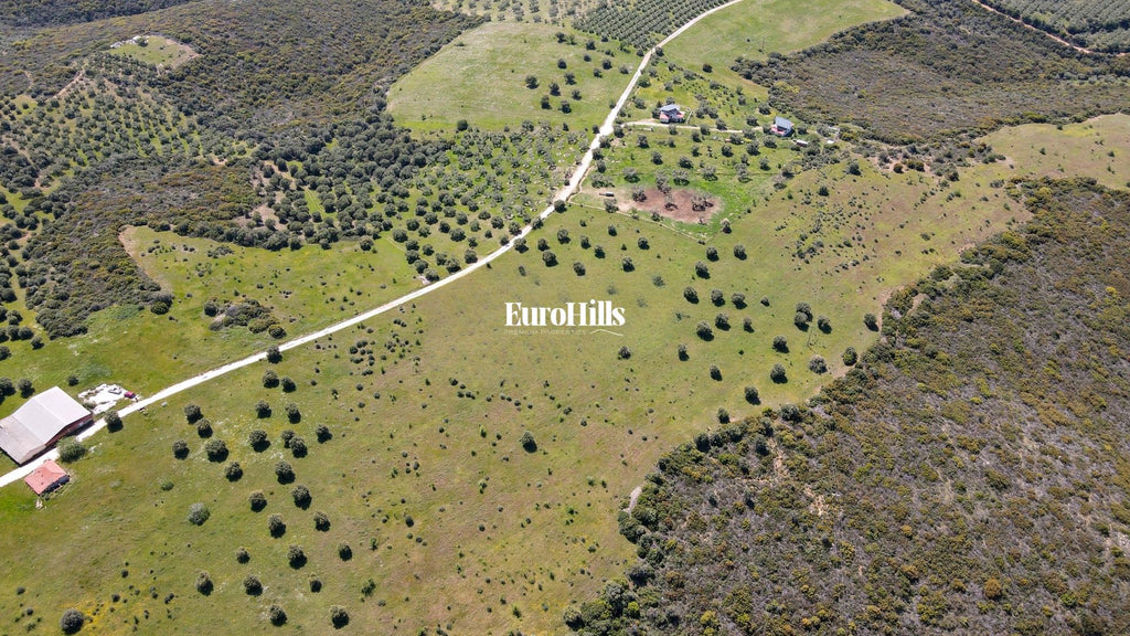 Olive Grove Land 44,063 m² | Coast of Halkidiki Greece