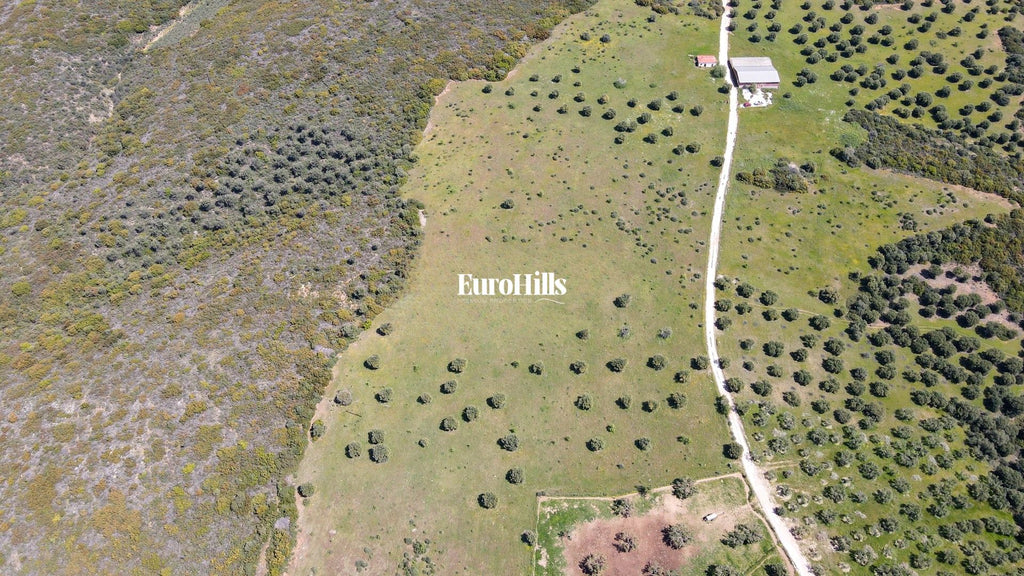 Olive Grove Land 44,063 m² | Coast of Halkidiki Greece