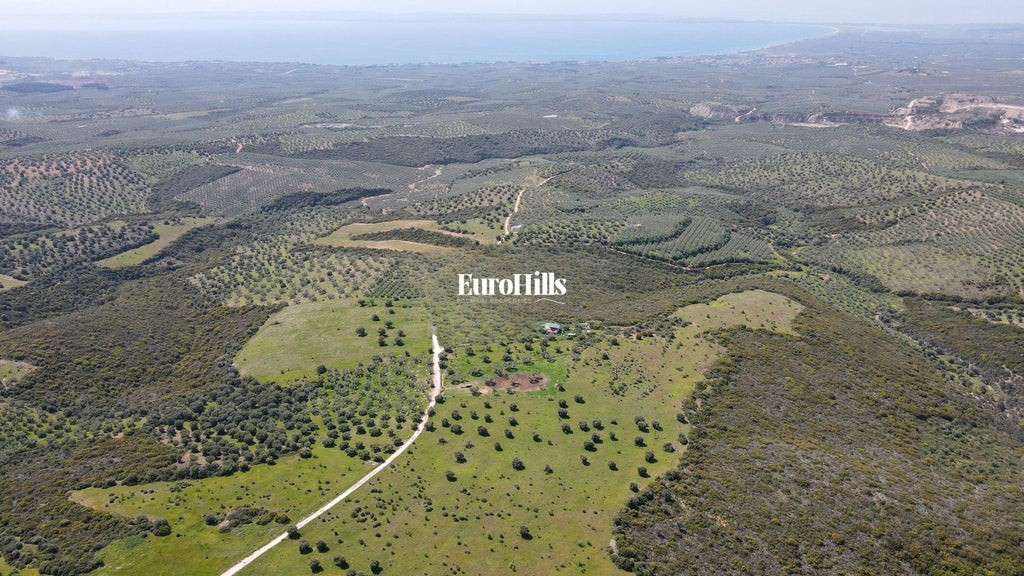 Olive Grove Land 44,063 m² | Coast of Halkidiki Greece