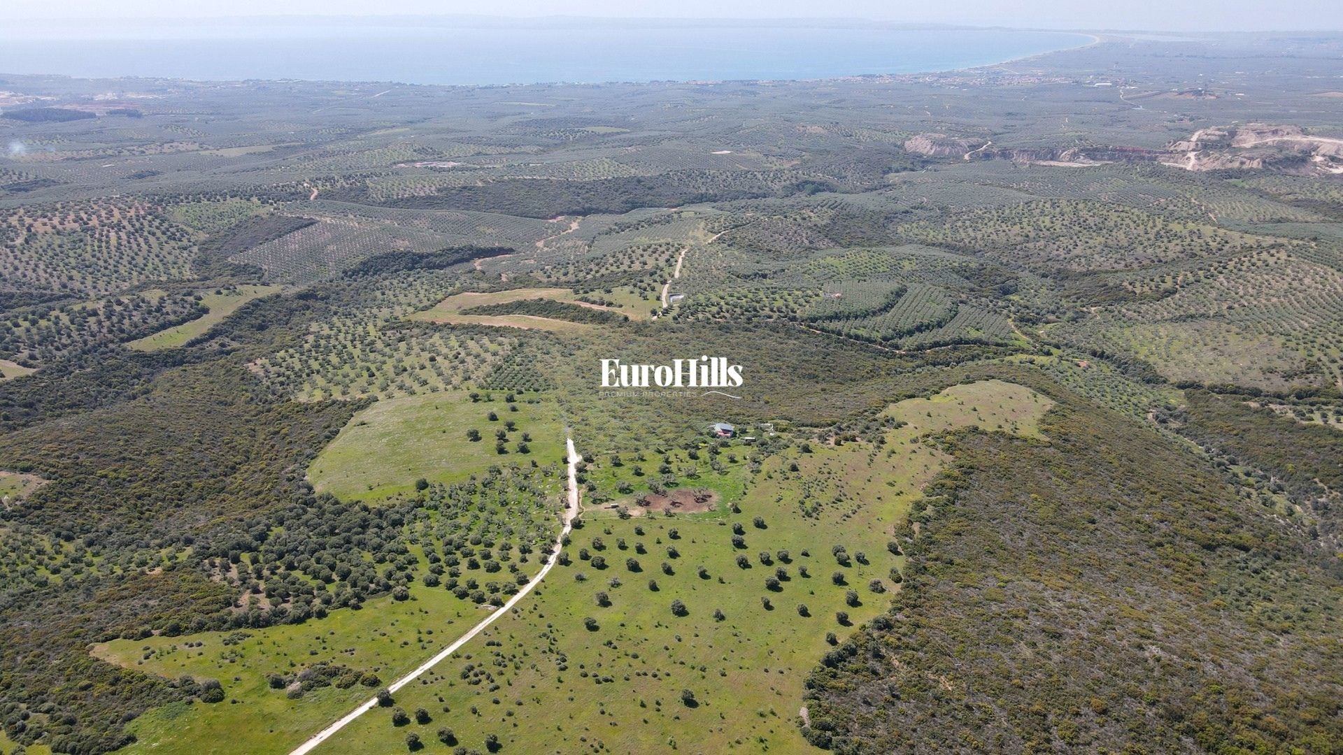 Olive Grove Land 44,063 m² | Coast of Halkidiki Greece