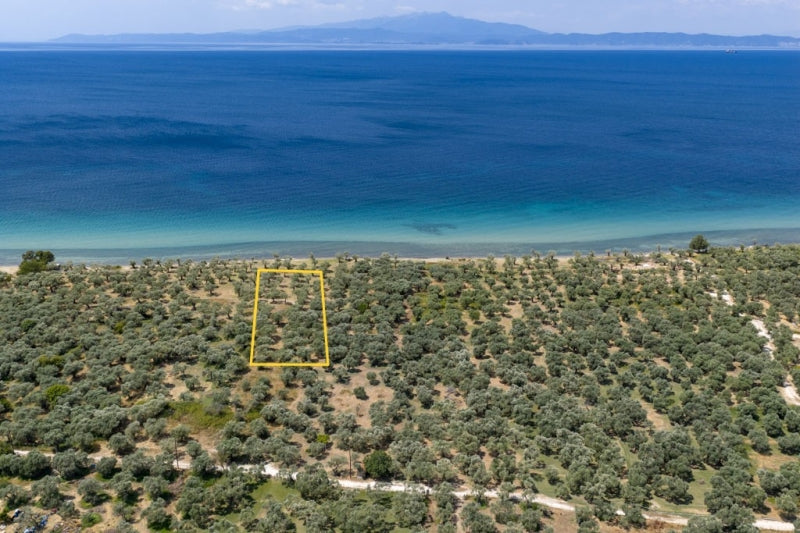 Agricultural 1446 m² - Thasos GR