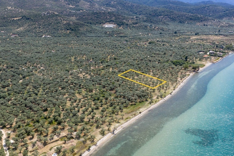 Agricultural 1446 m² - Thasos GR