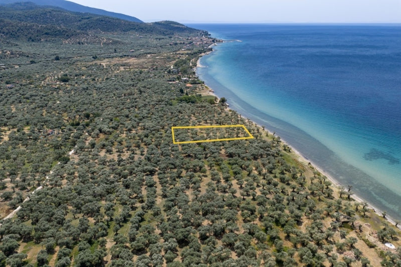 Agricultural 1446 m² - Thasos GR