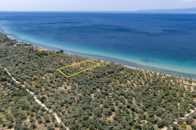 Agricultural 1446 m² - Thasos GR