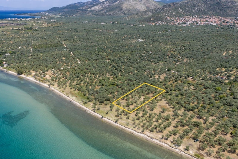 Agricultural 1446 m² - Thasos GR