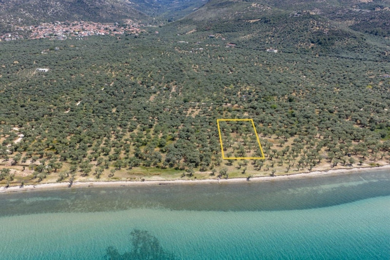 Agricultural 1446 m² - Thasos GR