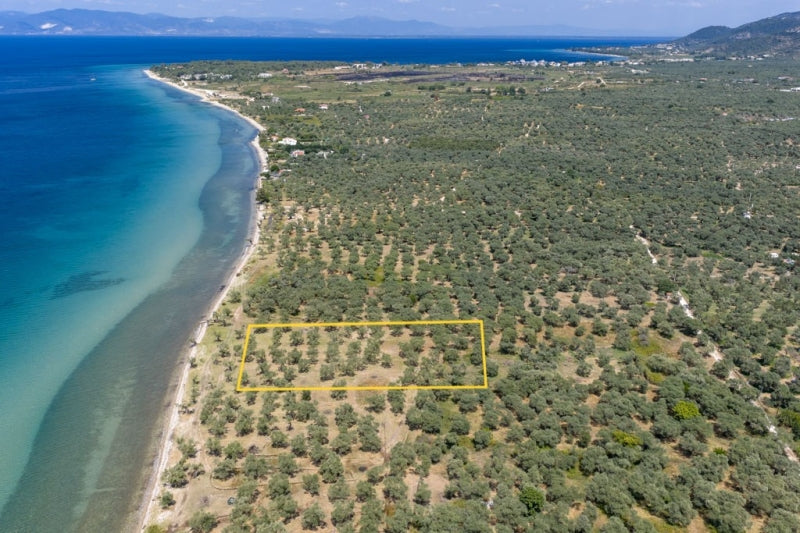 Agricultural 1446 m² - Thasos GR