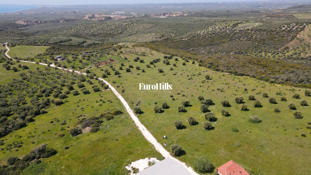 Olive Grove Land 44,063 m² | Coast of Halkidiki Greece