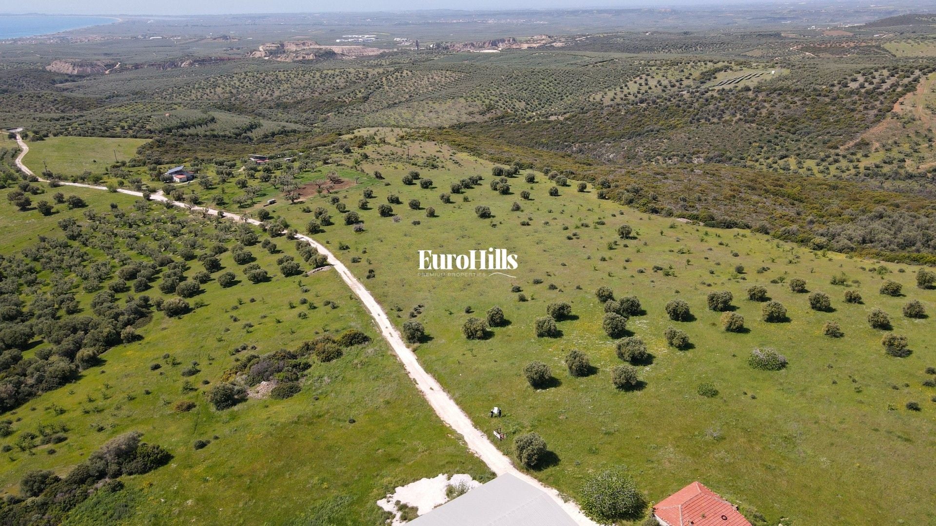 Olive Grove Land 44,063 m² | Coast of Halkidiki Greece