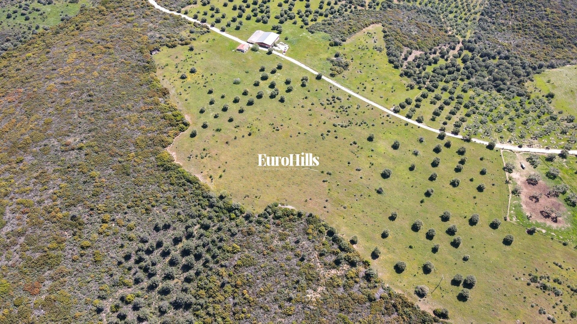 Olive Grove Land 44,063 m² | Coast of Halkidiki Greece