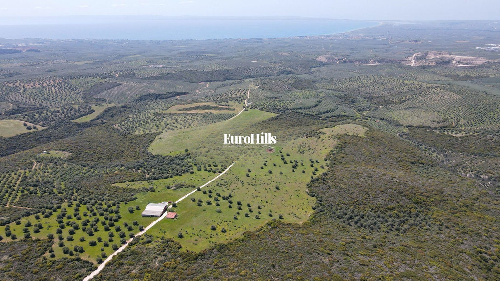 Olive Grove Land 44,063 m² | Coast of Halkidiki Greece