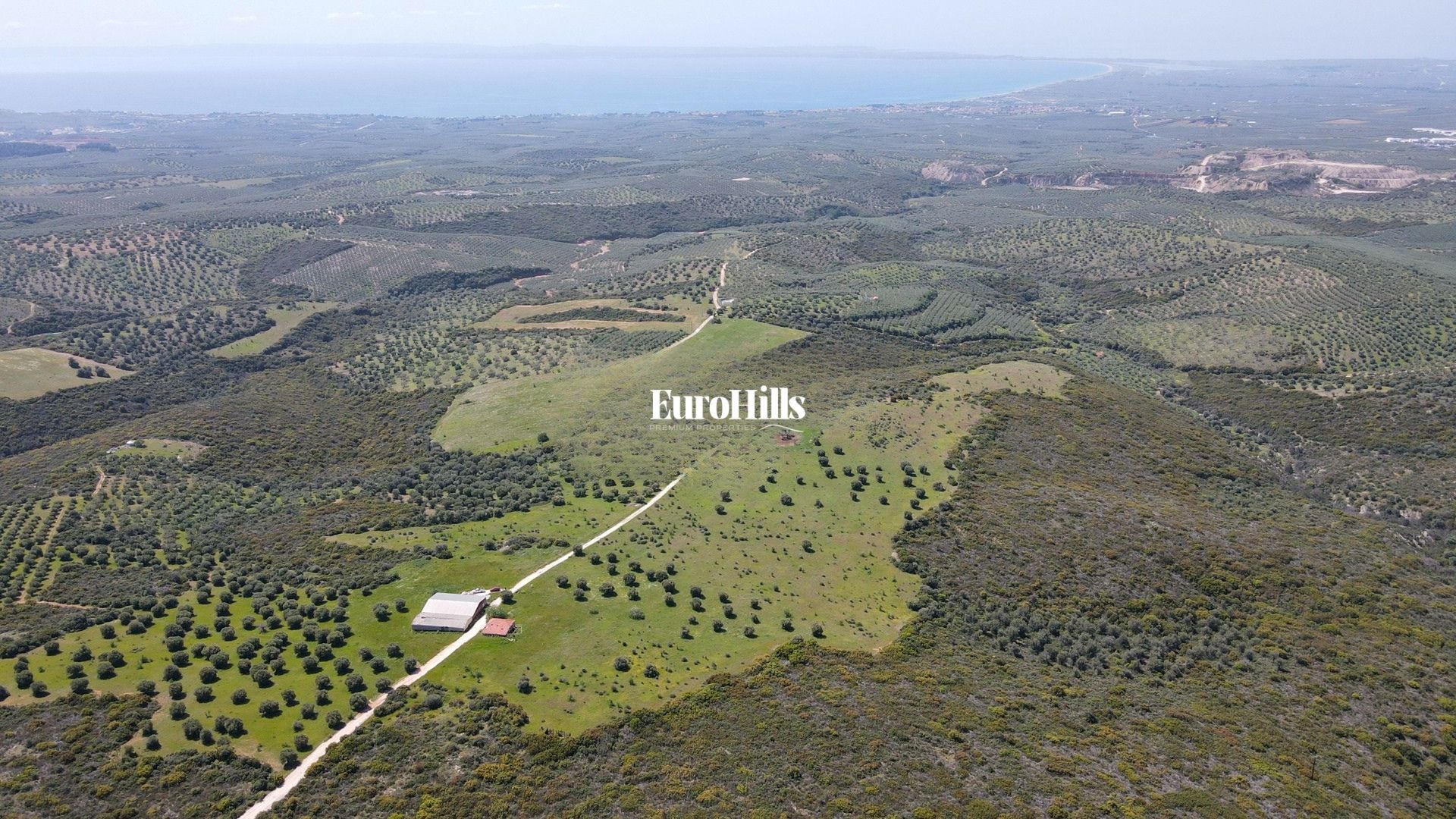 Olive Grove Land 44,063 m² | Coast of Halkidiki Greece