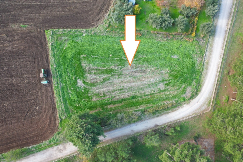 Plot 1504 sqm - Corner Plot – Agios Athanasios, Doxato GR