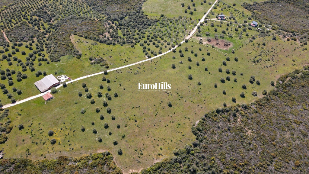 Olive Grove Land 44,063 m² | Coast of Halkidiki Greece