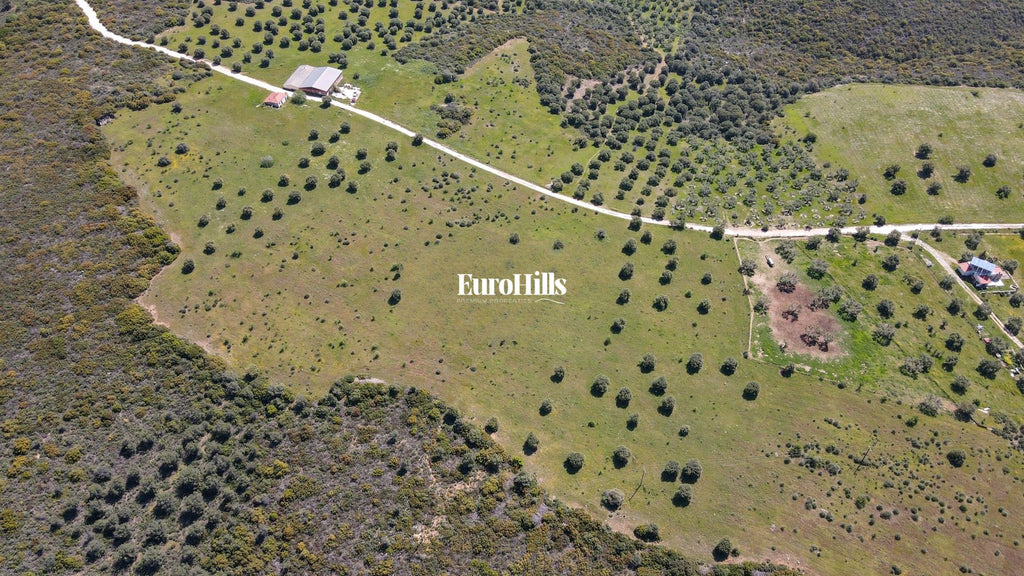 Olive Grove Land 44,063 m² | Coast of Halkidiki Greece