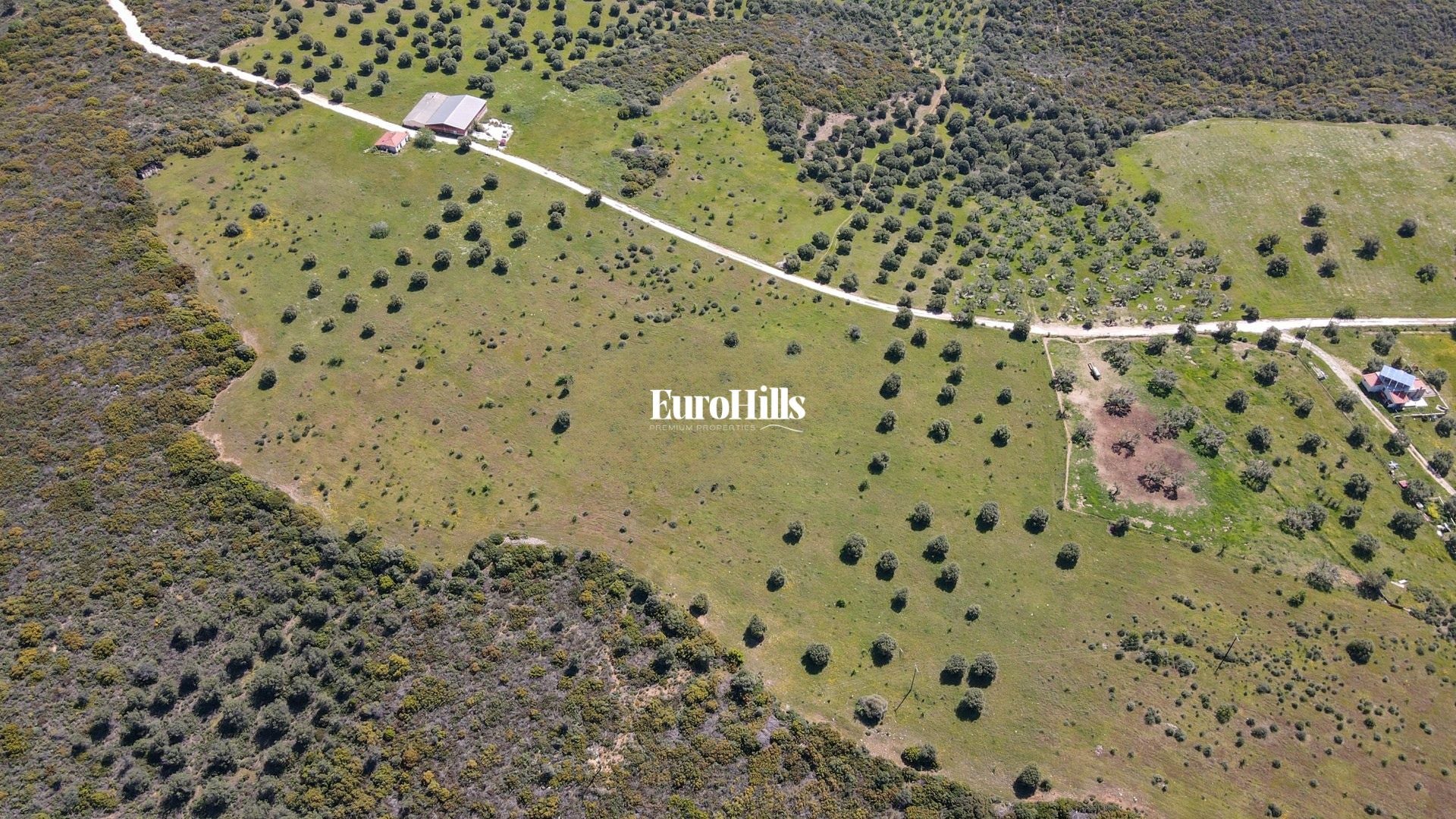 Olive Grove Land 44,063 m² | Coast of Halkidiki Greece
