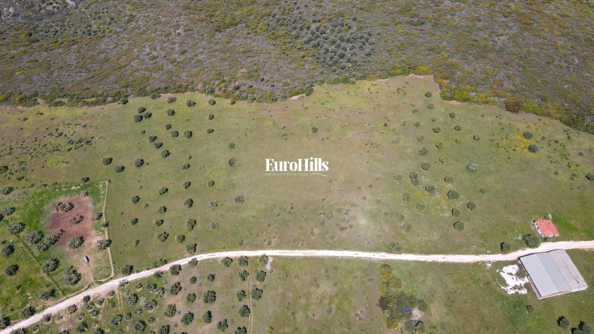 Olive Grove Land 44,063 m² | Coast of Halkidiki Greece