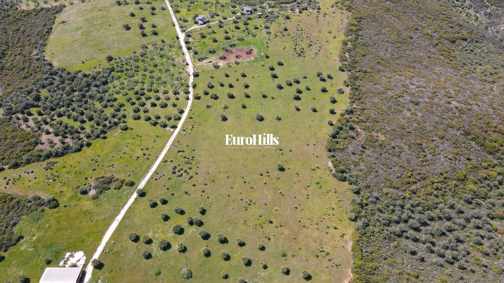 Olive Grove Land 44,063 m² | Coast of Halkidiki Greece