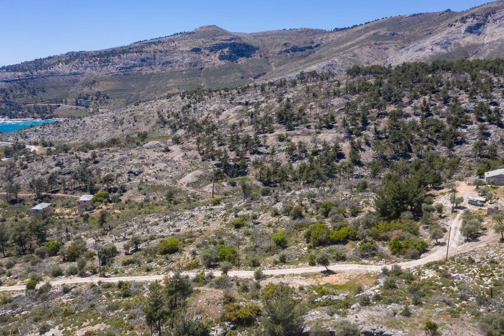 Agricultural 1788 m² - Thasos GR