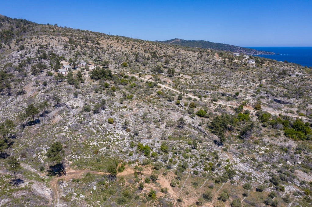 Agricultural 1788 m² - Thasos GR